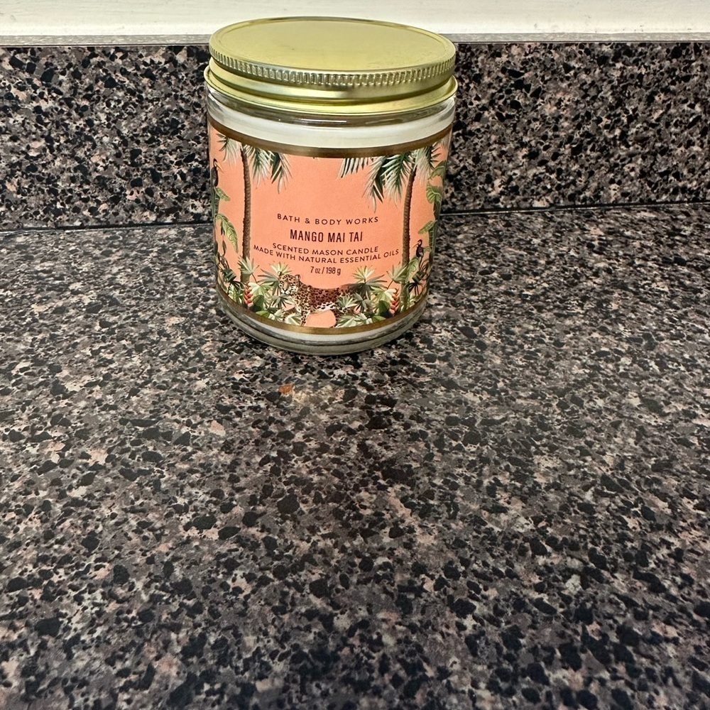 Bath and Body Works Single Wick Candle